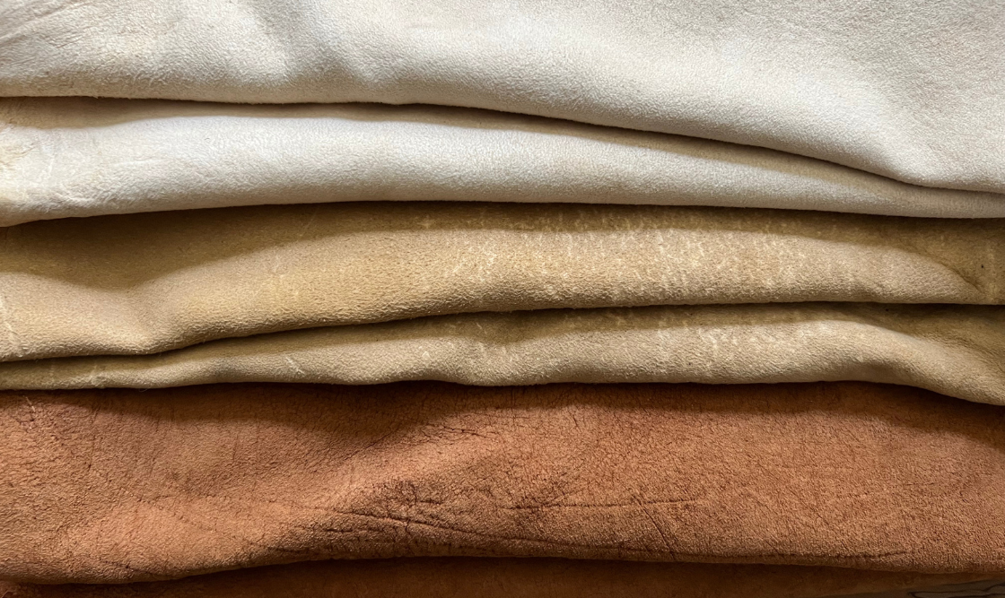 Buckskin
